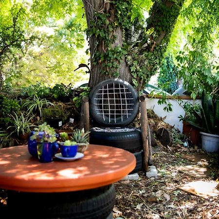Auberge de jeunesse Zoete Inval à Hermanus Extérieur photo