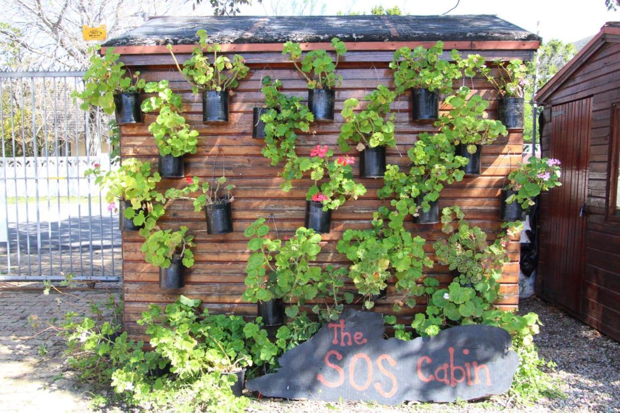 Auberge de jeunesse Zoete Inval à Hermanus Extérieur photo