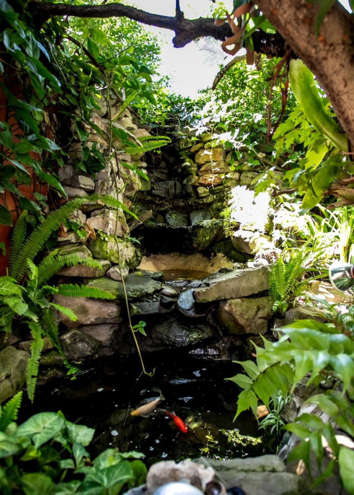 Auberge de jeunesse Zoete Inval à Hermanus Extérieur photo